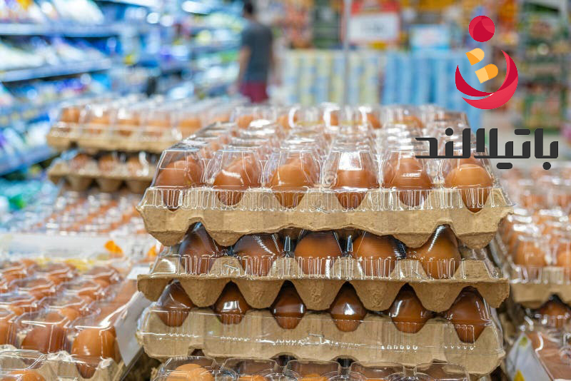 راهنمای کامل تهیه غذای شرکتی و اقتصادی برای مدیران سازمان ها
