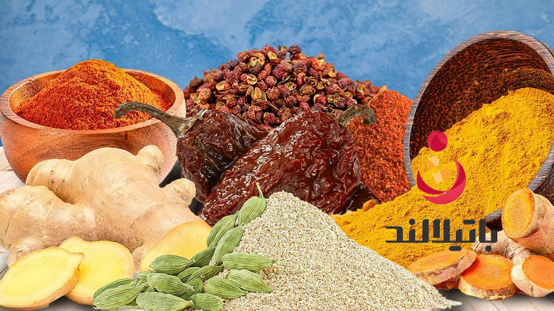 راهنمای کامل انواع ادویه های گرم و خرید عمده آنها