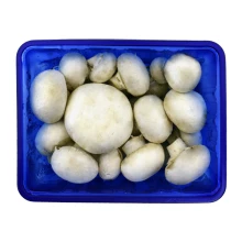 قارچ خوراکی دکمه ای 200 گرمی نامیسان